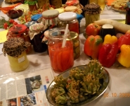 ogrd_20091029_1672508838
