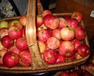 ogrd_20091029_1906590077